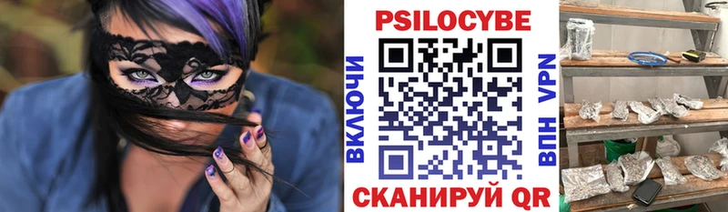 закладки  Берёзовский  Псилоцибиновые грибы MAGIC MUSHROOMS 